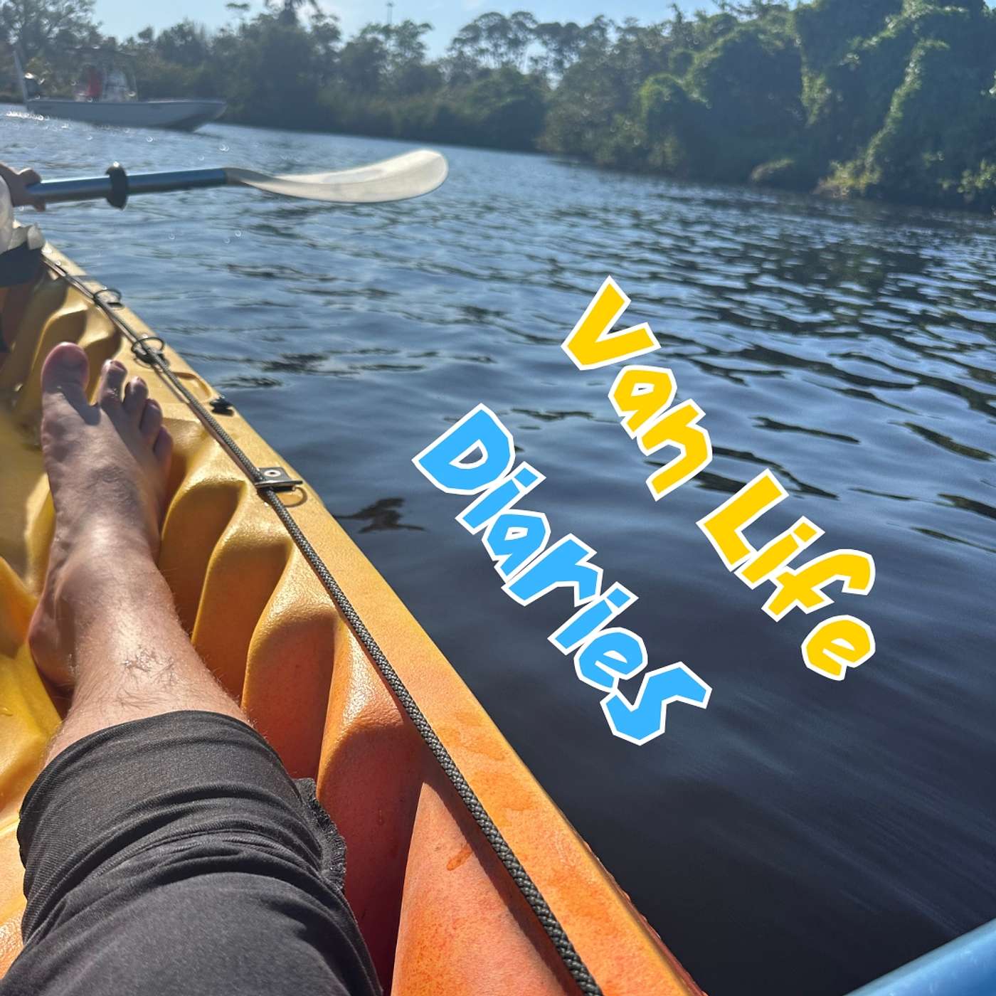 Van Life Diaries - The Manatees of Southern Florida