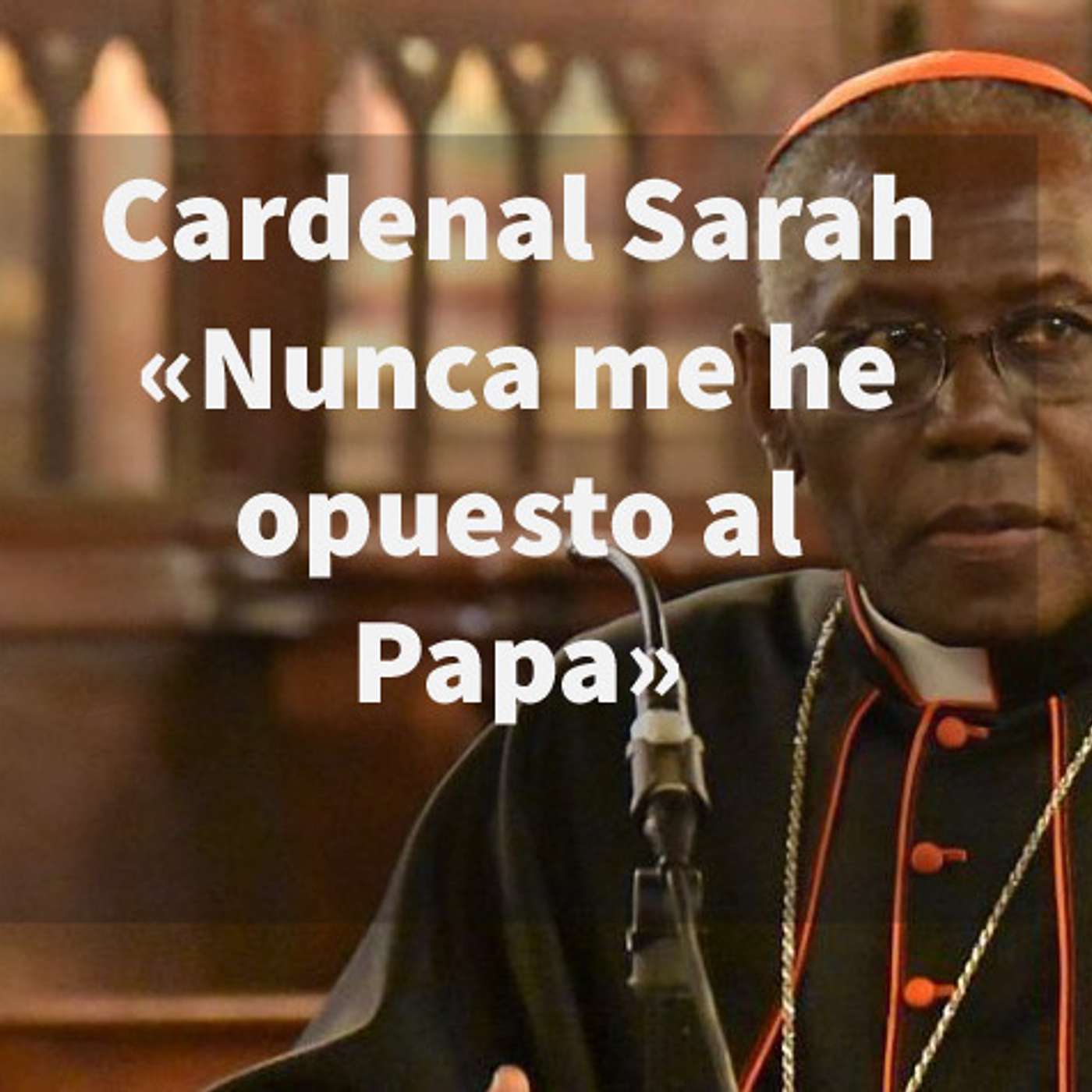 Perspectiva Católica 5: 🤔 Cardenal Sarah “Nunca me he opuesto al Papa” 👏 con Luis Roman episode artwork