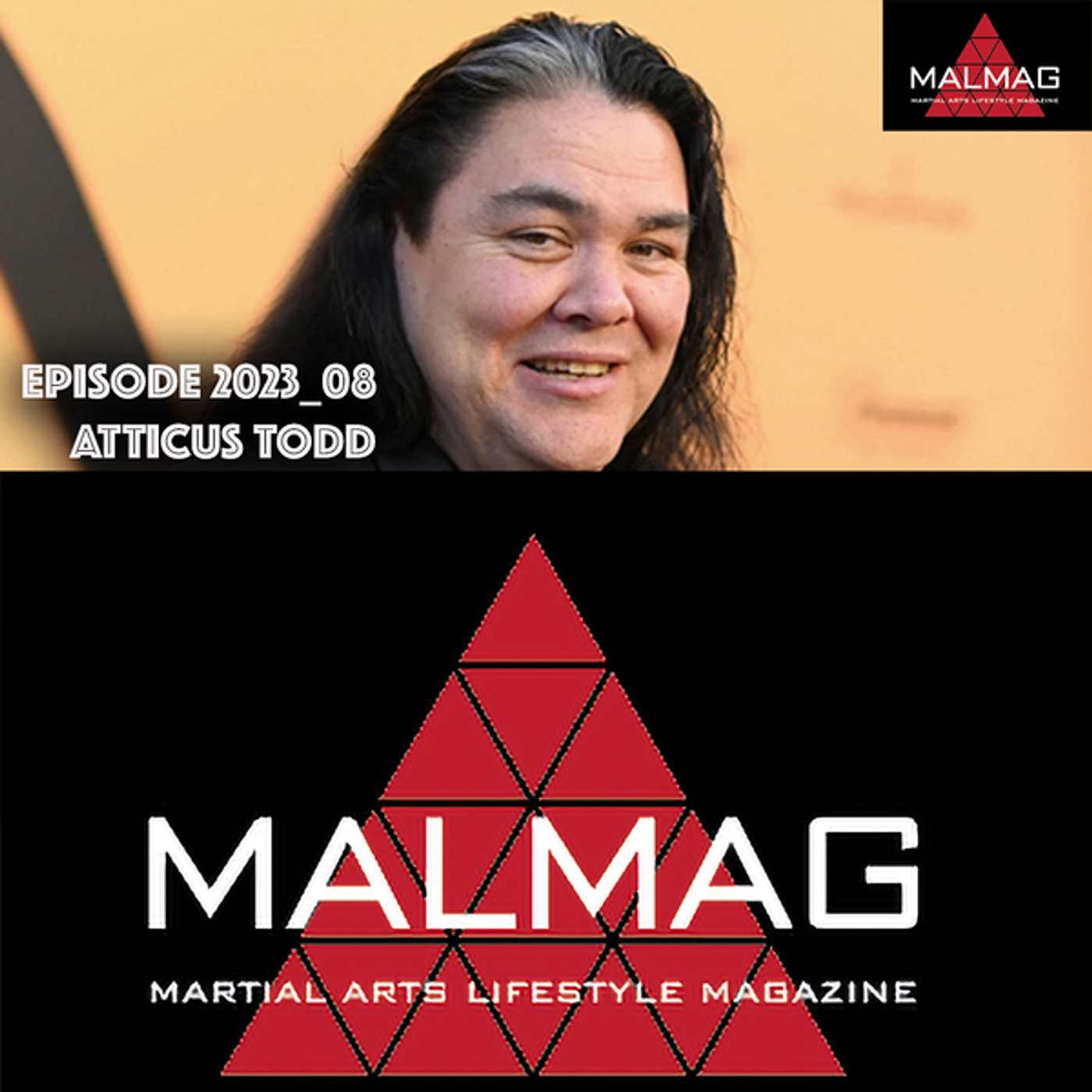 The Martial Arts Lifestyle Podcast