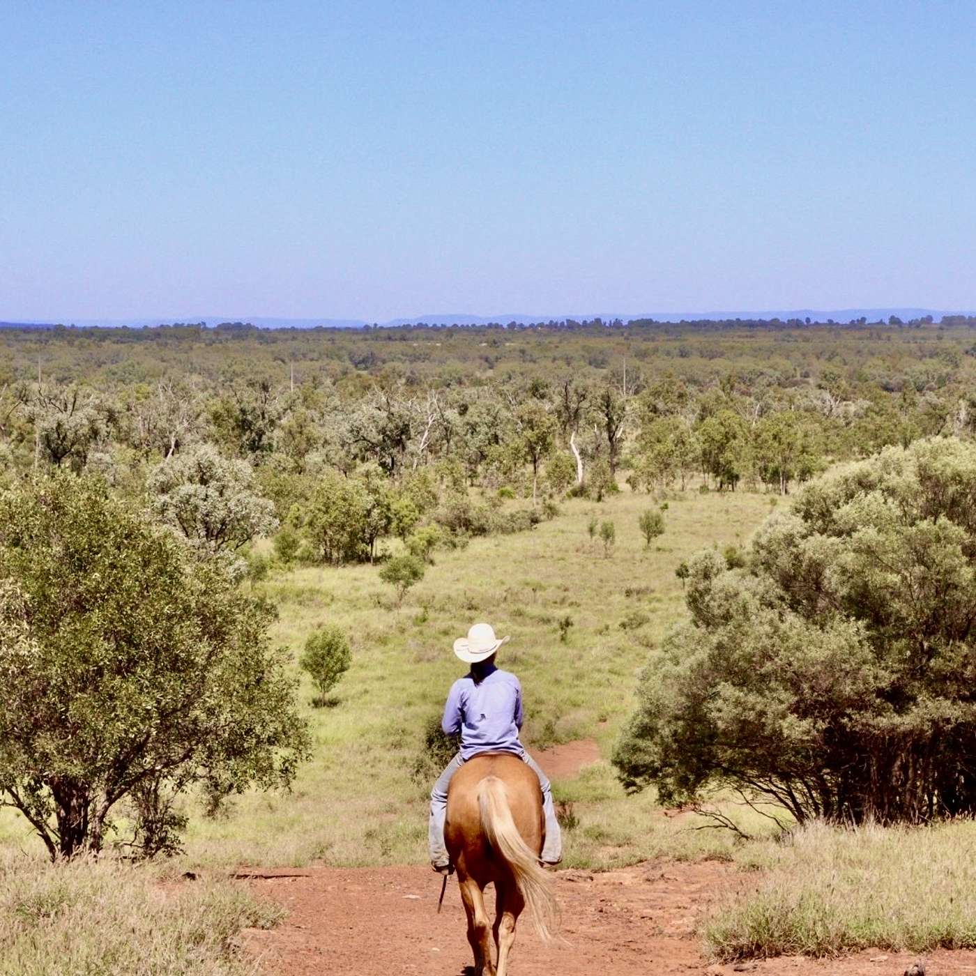 Share Forward Sponsors cover art