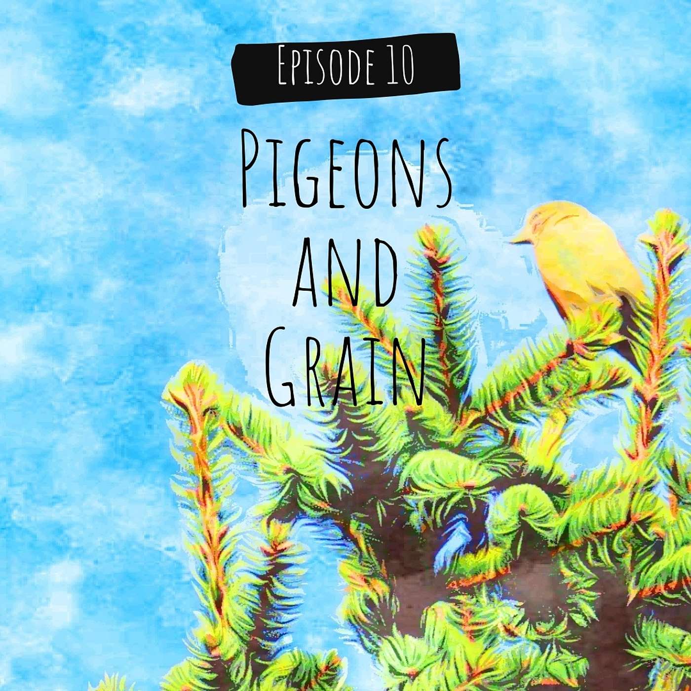Pigeons and Grain episode artwork