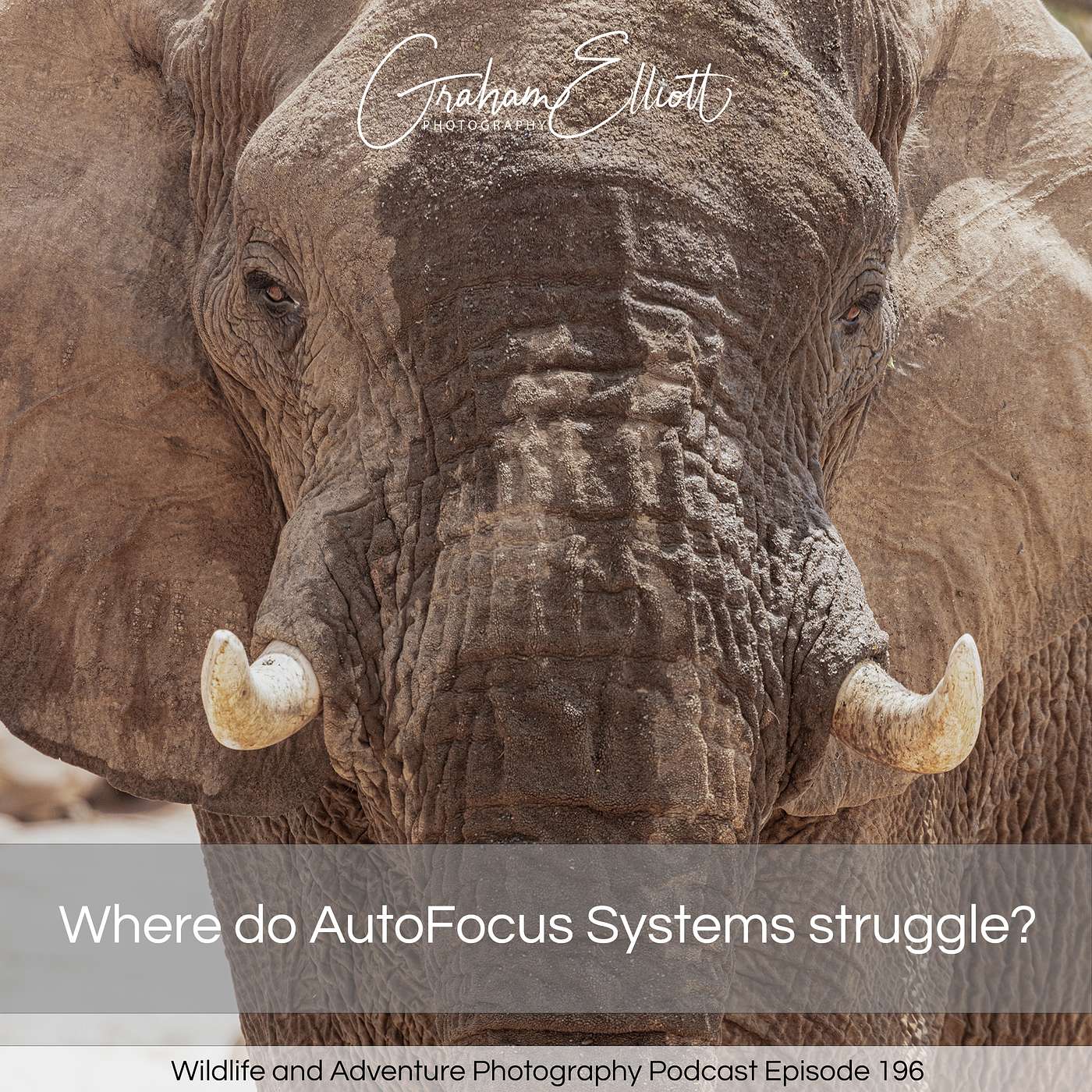 Where does AutoFocus struggle?