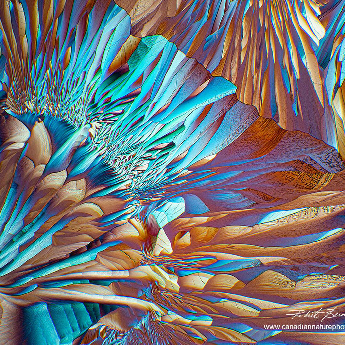 Conscious Living Conscious Dying 14 - Death - The Moment of Death