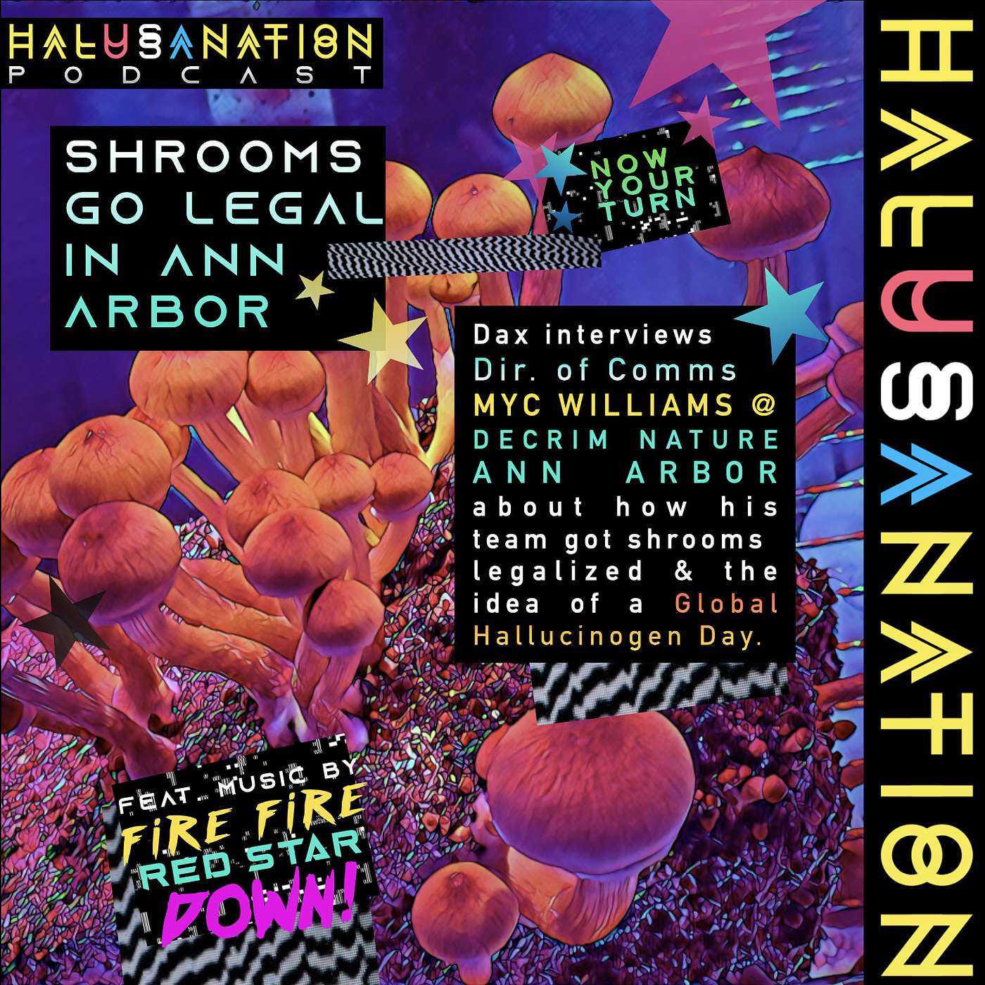 Halusanation