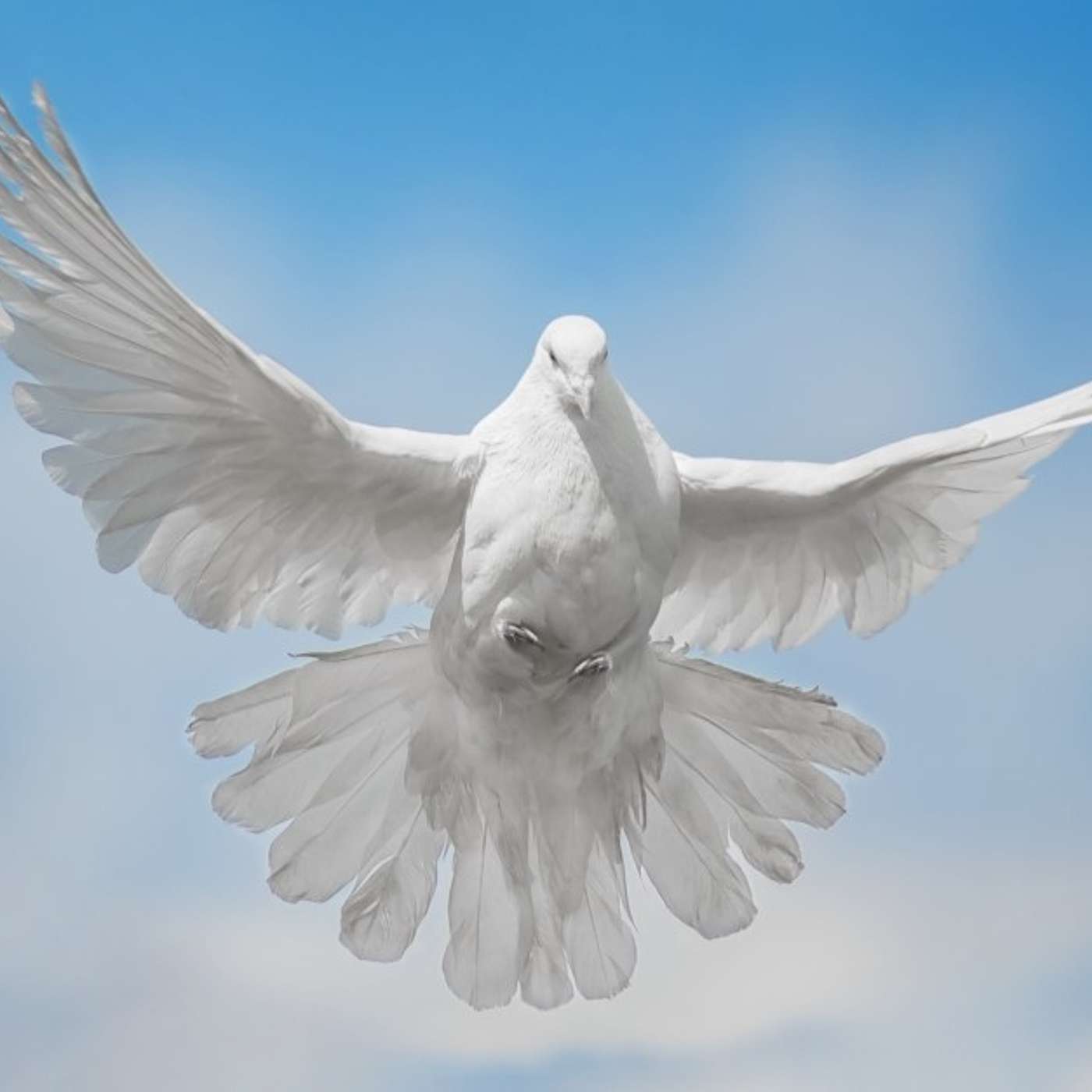 🎙️📖🕊️Awake NOT Woke [is a] Ministry in Motion - Where faith meets fire, and obedience becomes a lifestyle.