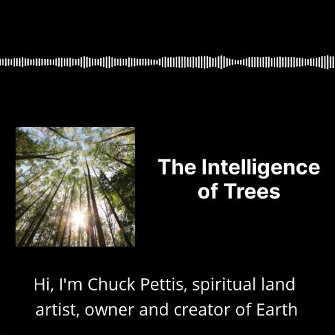 Experience the Magic of Earth Sanctuary with Chuck Pettis