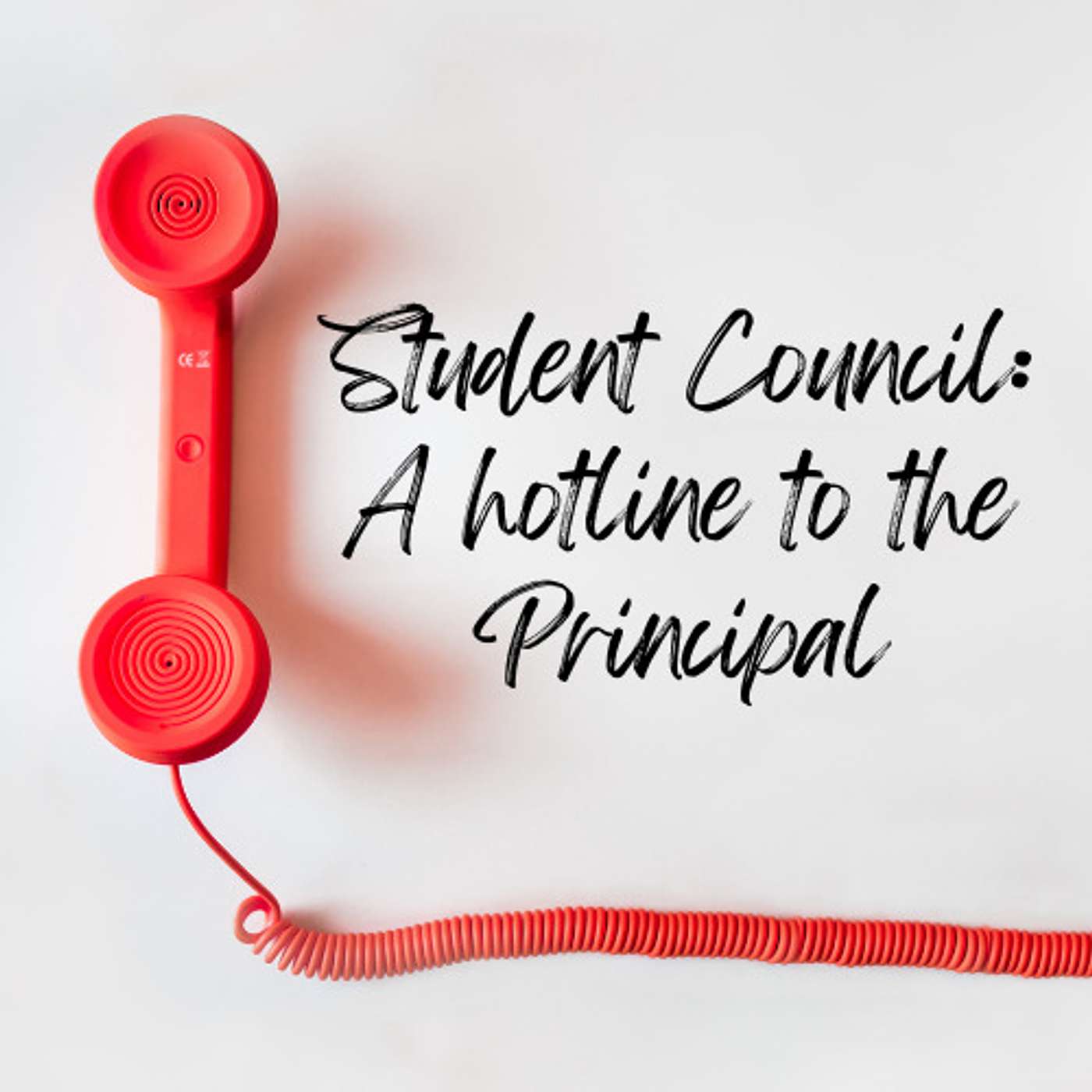 The Student Council - A hotline to the Principal