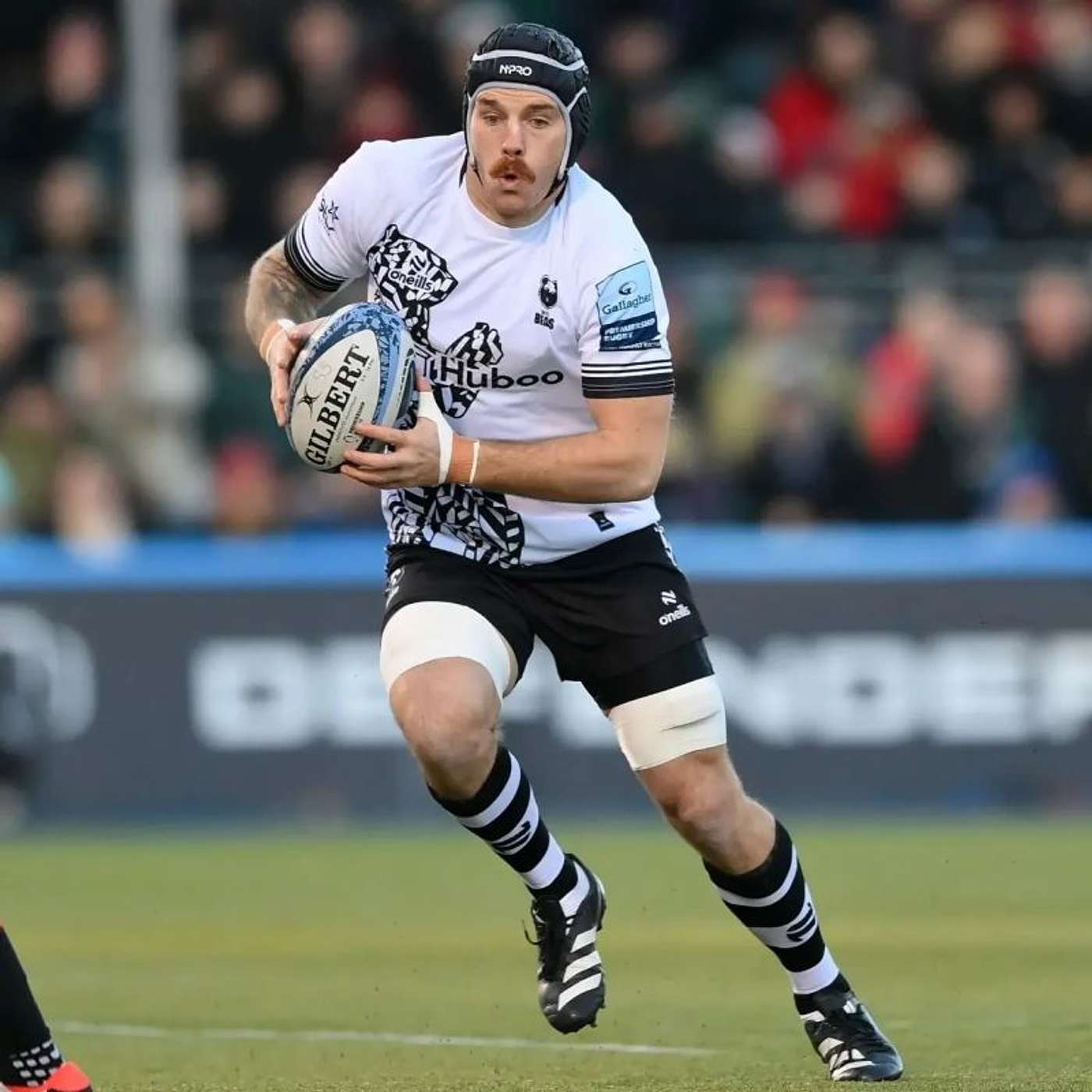 Bears Beyond The Gate