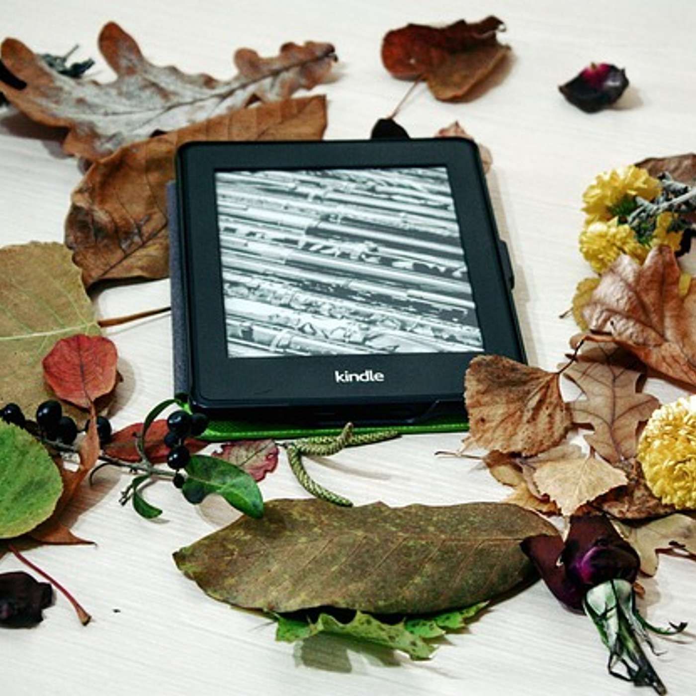 Amazon Kindle Colorsoft 32GB: My Cyber Monday Amazon Purchase episode artwork
