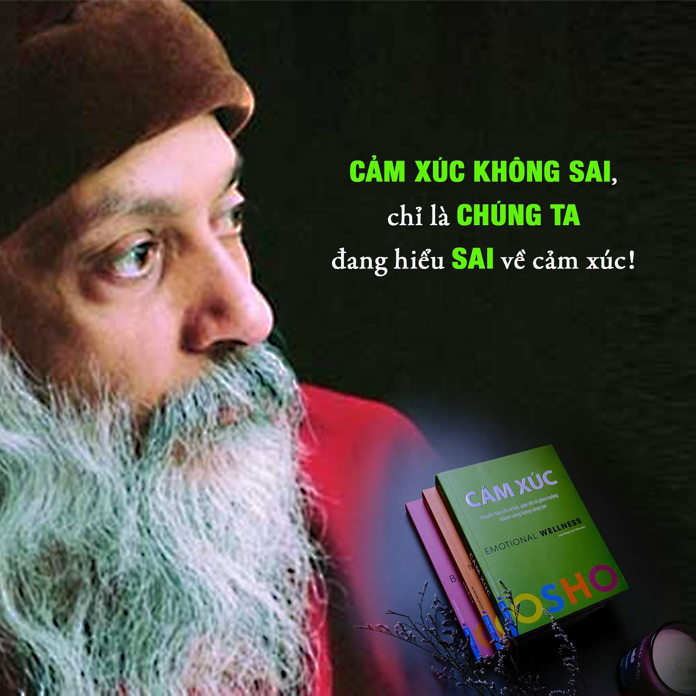 Cảm xúc không sai, chỉ là chúng ta hiểu sai về cảm xúc