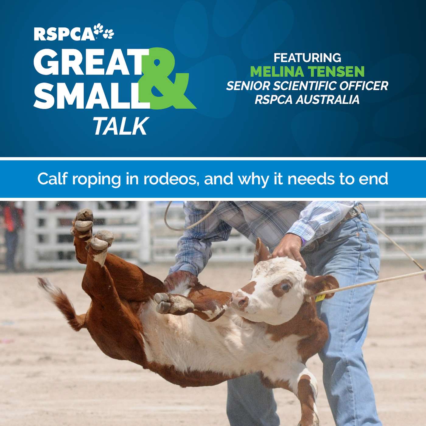 RSPCA Australia\'s Great & Small Talk