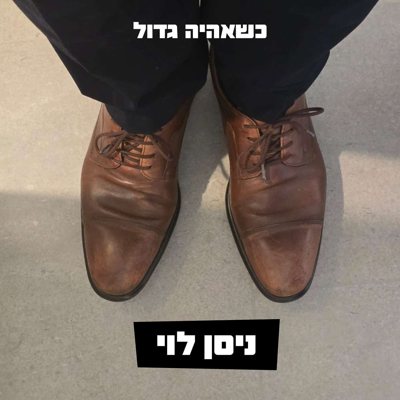ניסן לוי, מנכ״ל נמל אשדוד