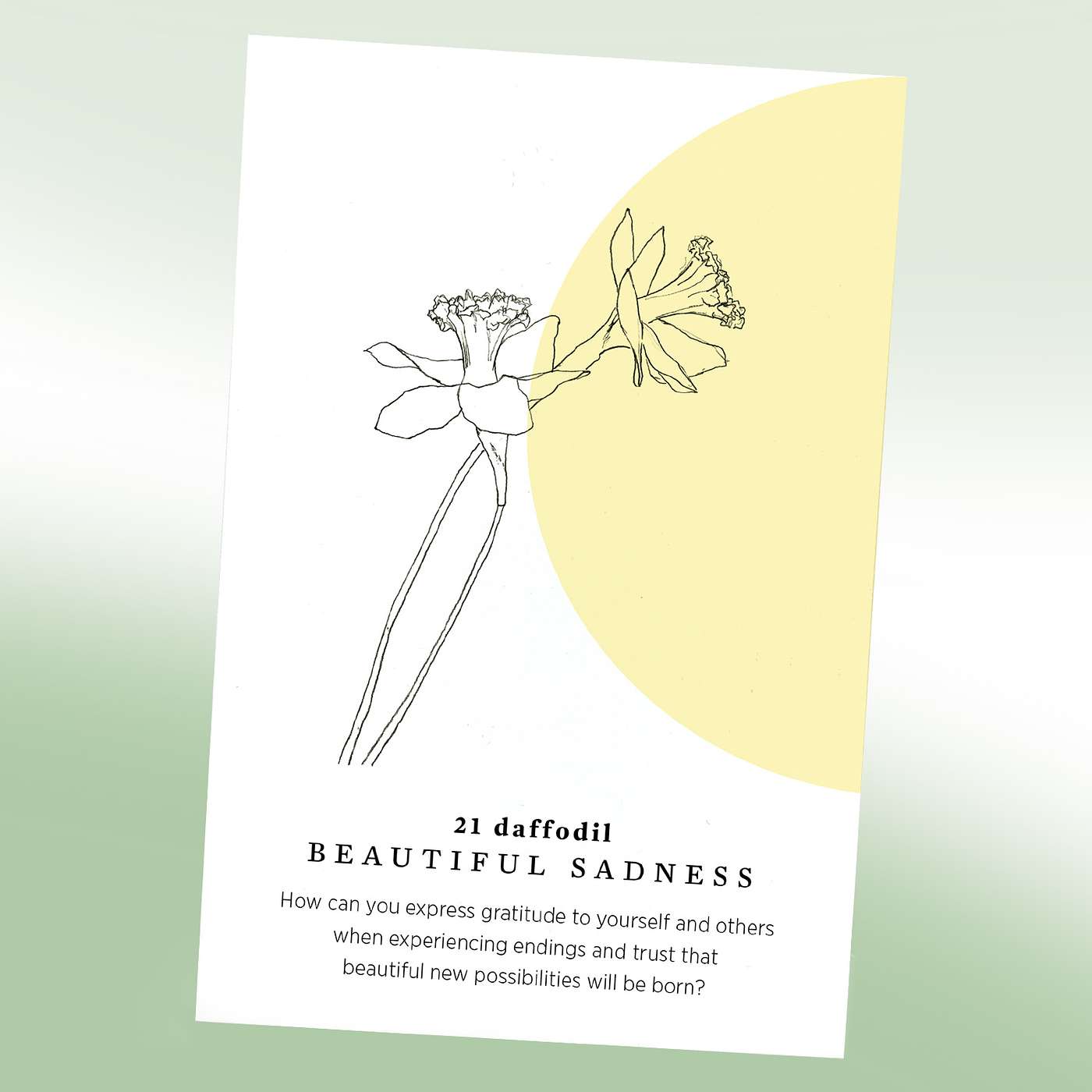 Gratitude Blooming Podcast