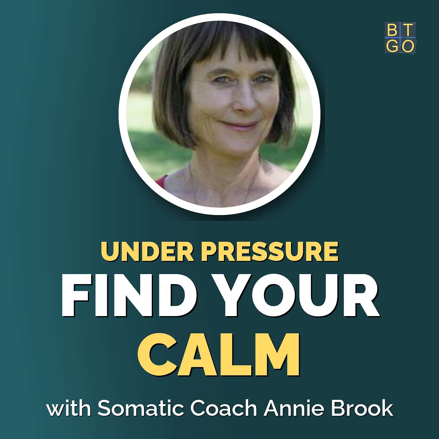 4 Expert Techniques That Keep You Calm in Family Court episode artwork