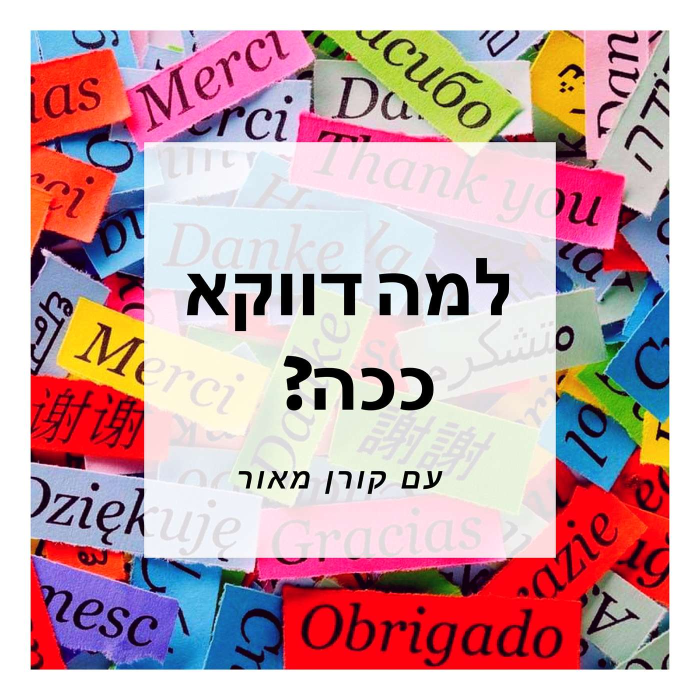 למה דווקא ככה – פרק 8 – שירותים