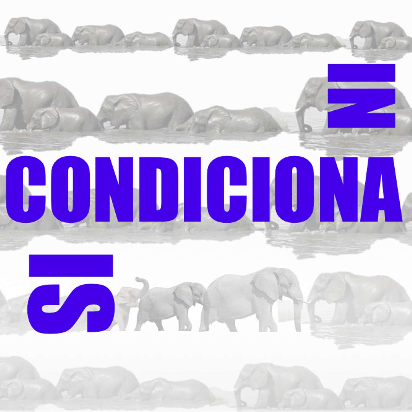 Elefantes na Neblina