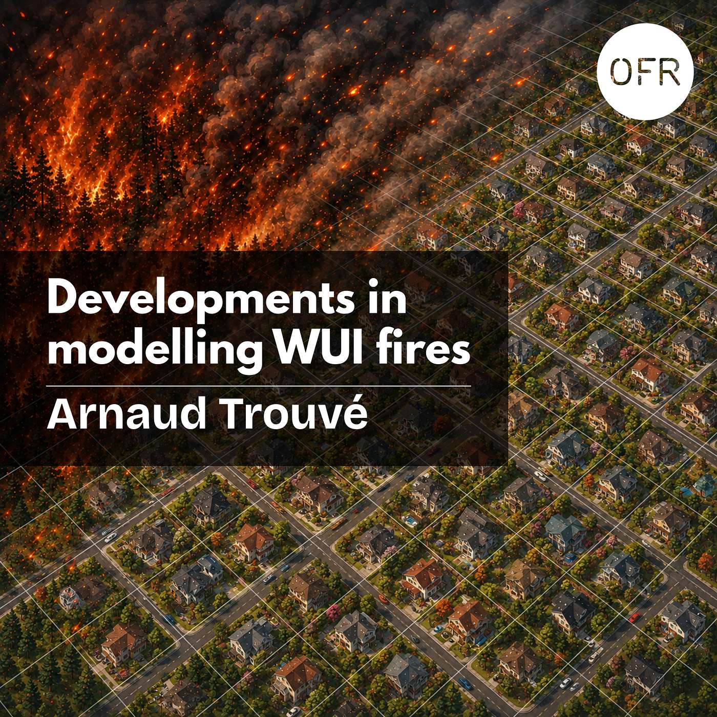 263 - Developments in modelling WUI fires with Arnaud Trouvé