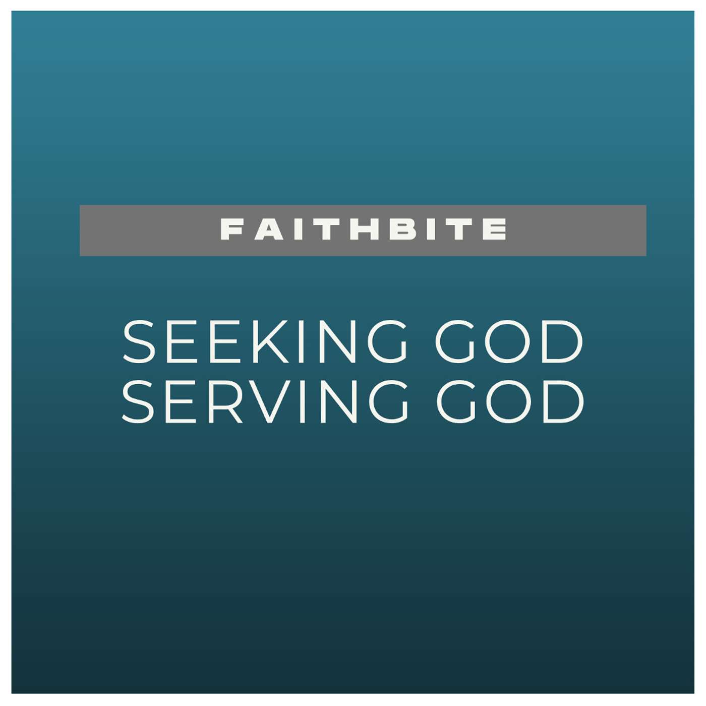 FaithBite - Seeking God & Serving God