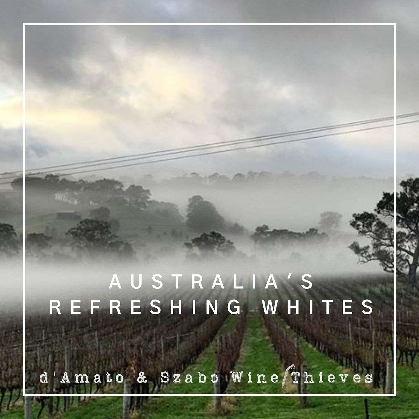 D’Amato & Szabo: Wine Thieves