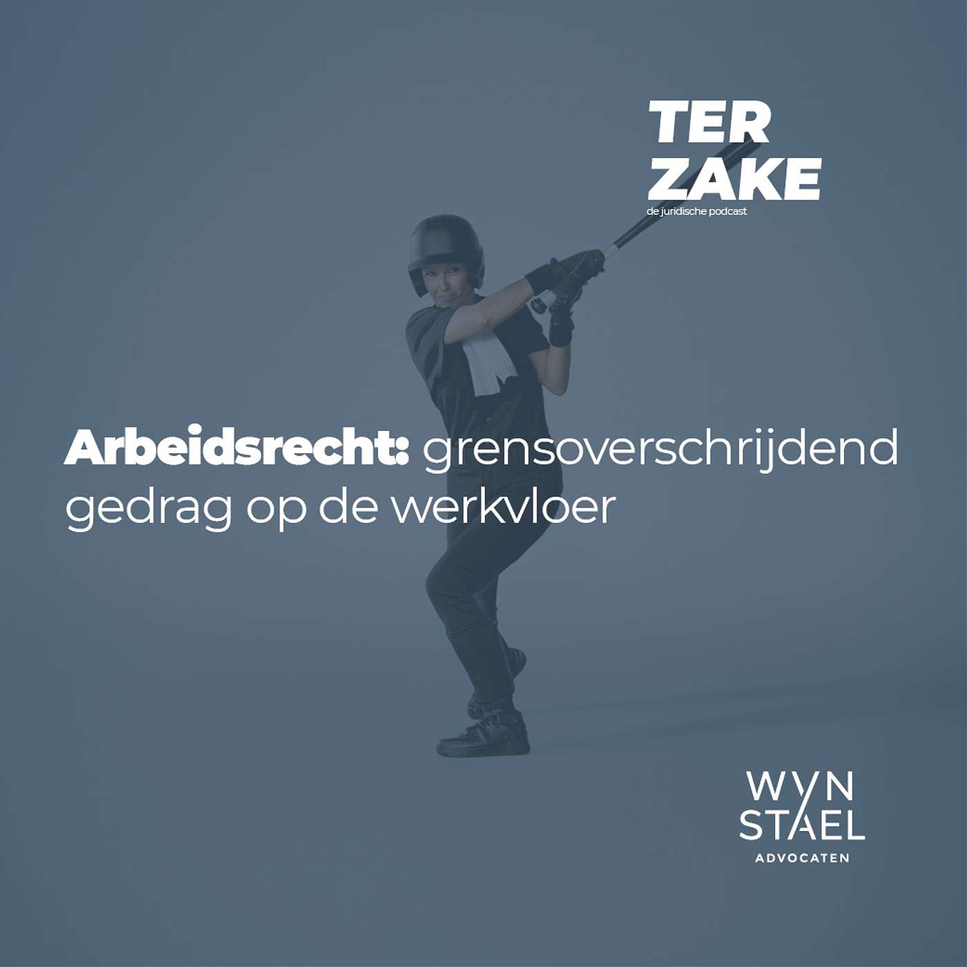Ter zake
