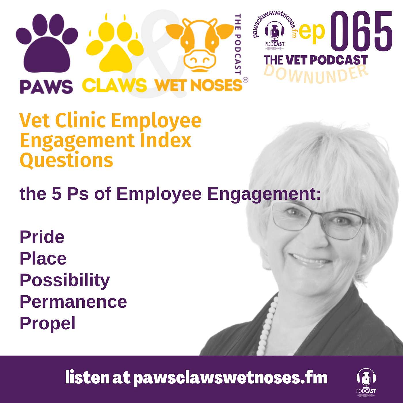 Vet Clinic Employee Engagement - the 5P questions - ep 065