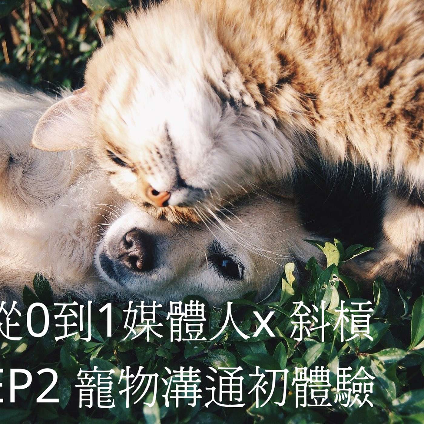 從0到1媒體人x斜槓EP2  寵物溝通初體驗 episode artwork