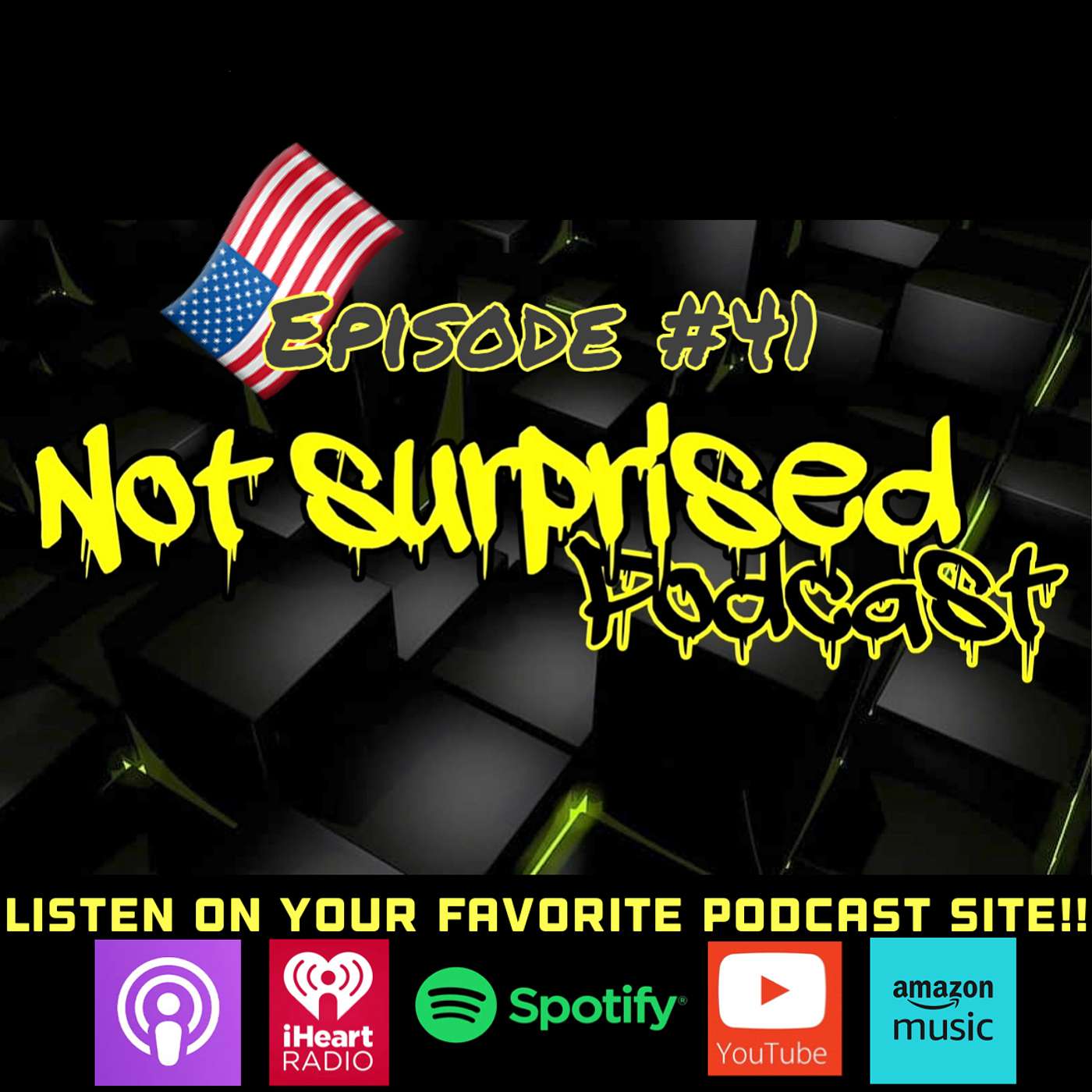 Not Surprised Podcast