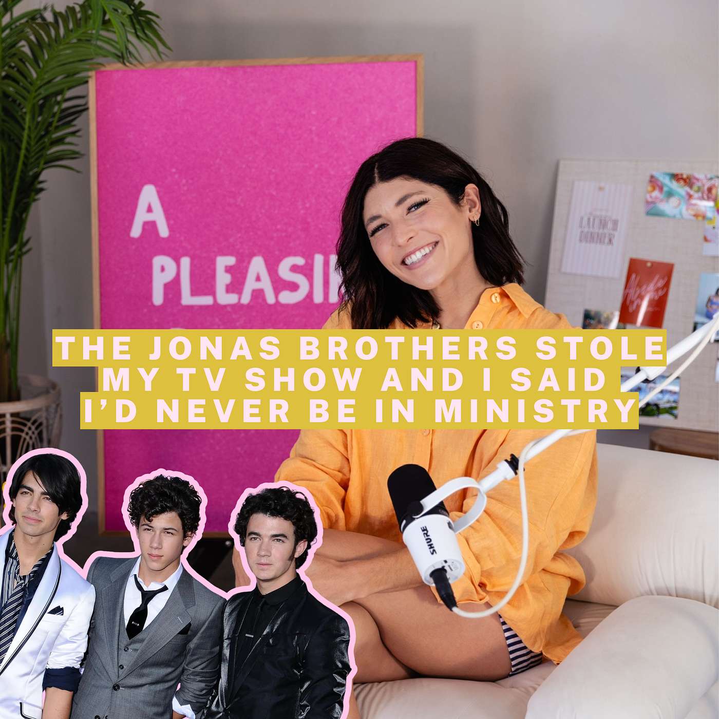 The Jonas Brothers Stole My TV Show and I Said I’d Never Be In Ministry episode artwork