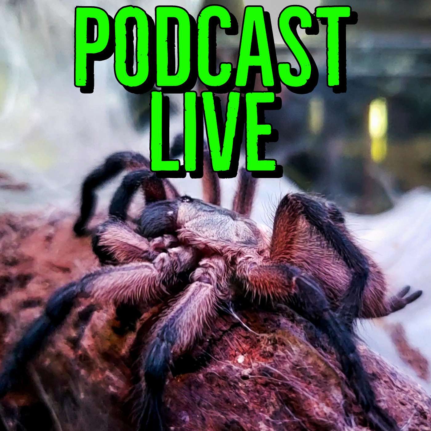 The Exotic Pet Collective