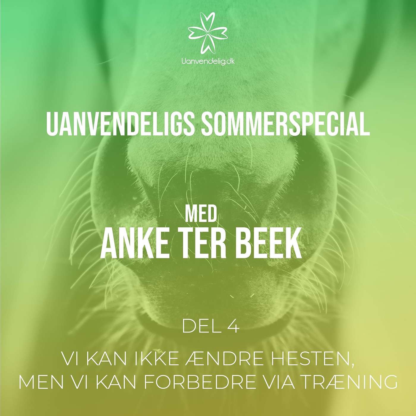 Sommerspecial med Anke Ter Beek Del 4 - Vi kan ikke ændre vores heste, men vi kan forbedre via varieret træning