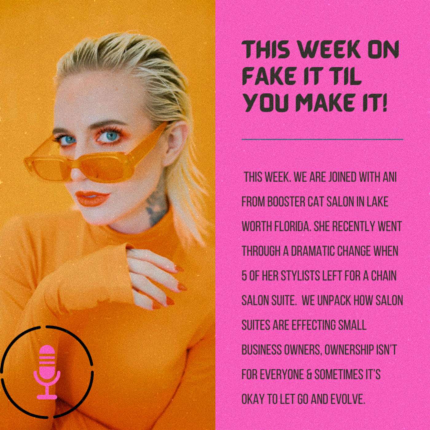Fake it Till You Make it : a Hair Stylist Podcast
