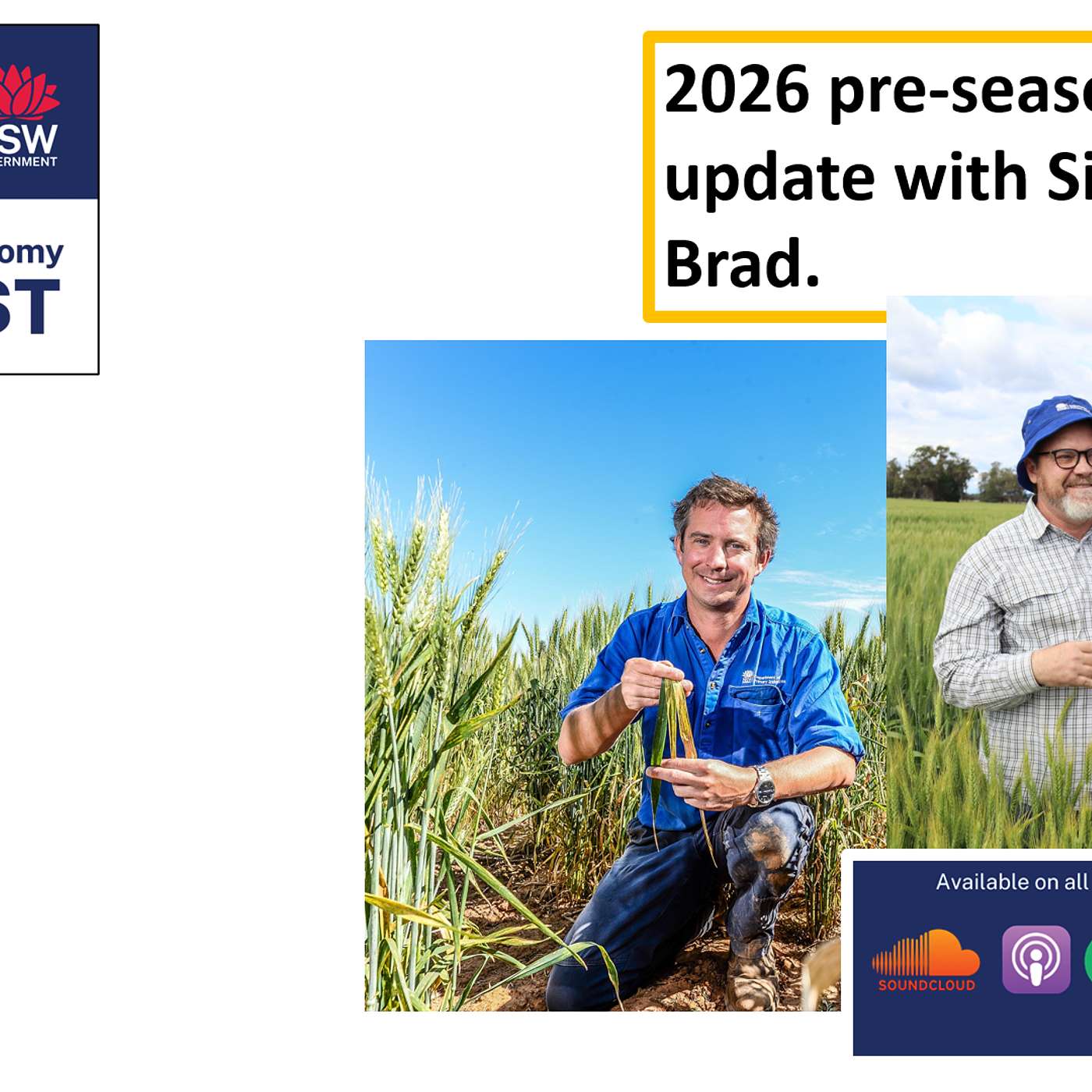 Cereal diseases – what could be an issue in 2026??