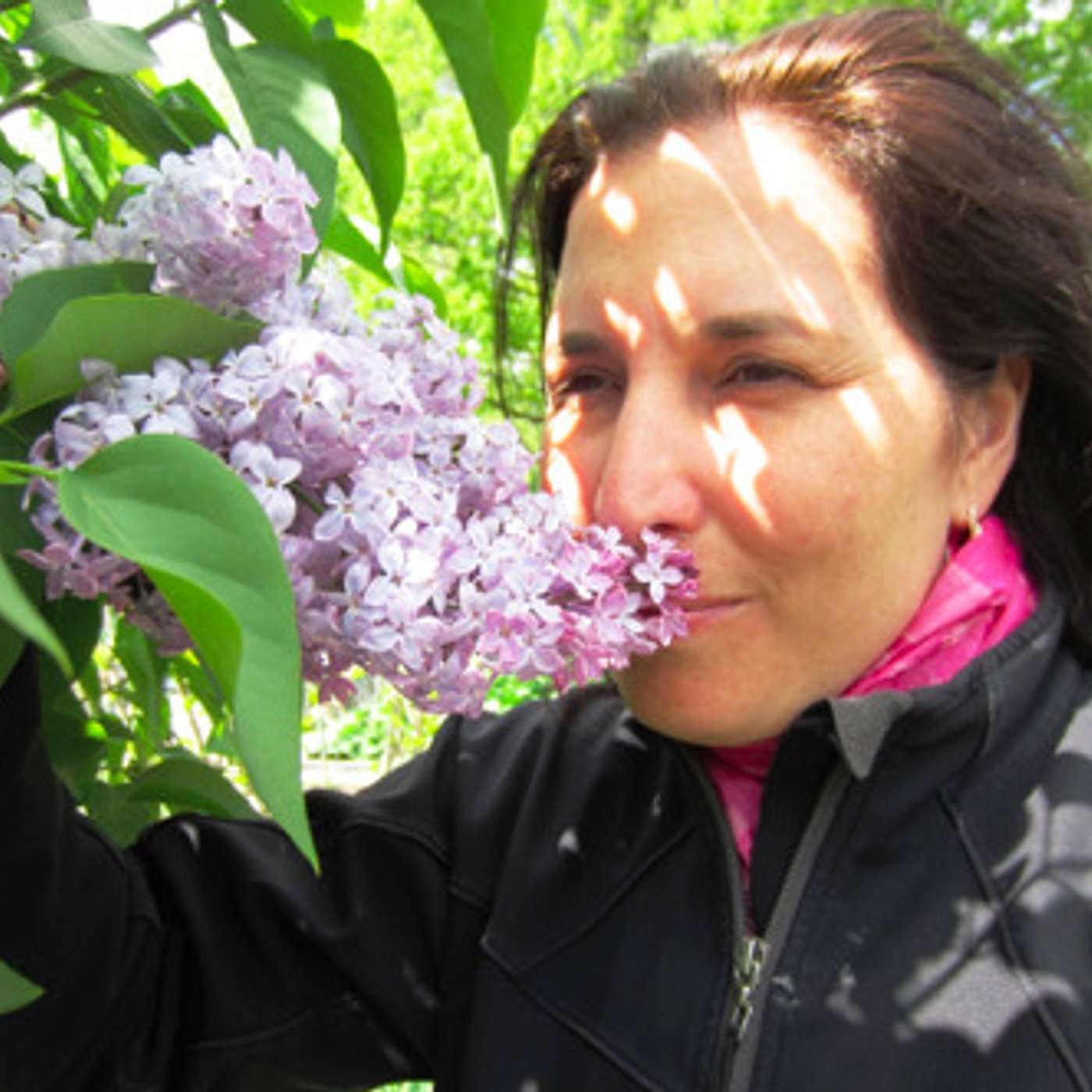 Top 10 Fragrant Spring Shrubs in Landscape