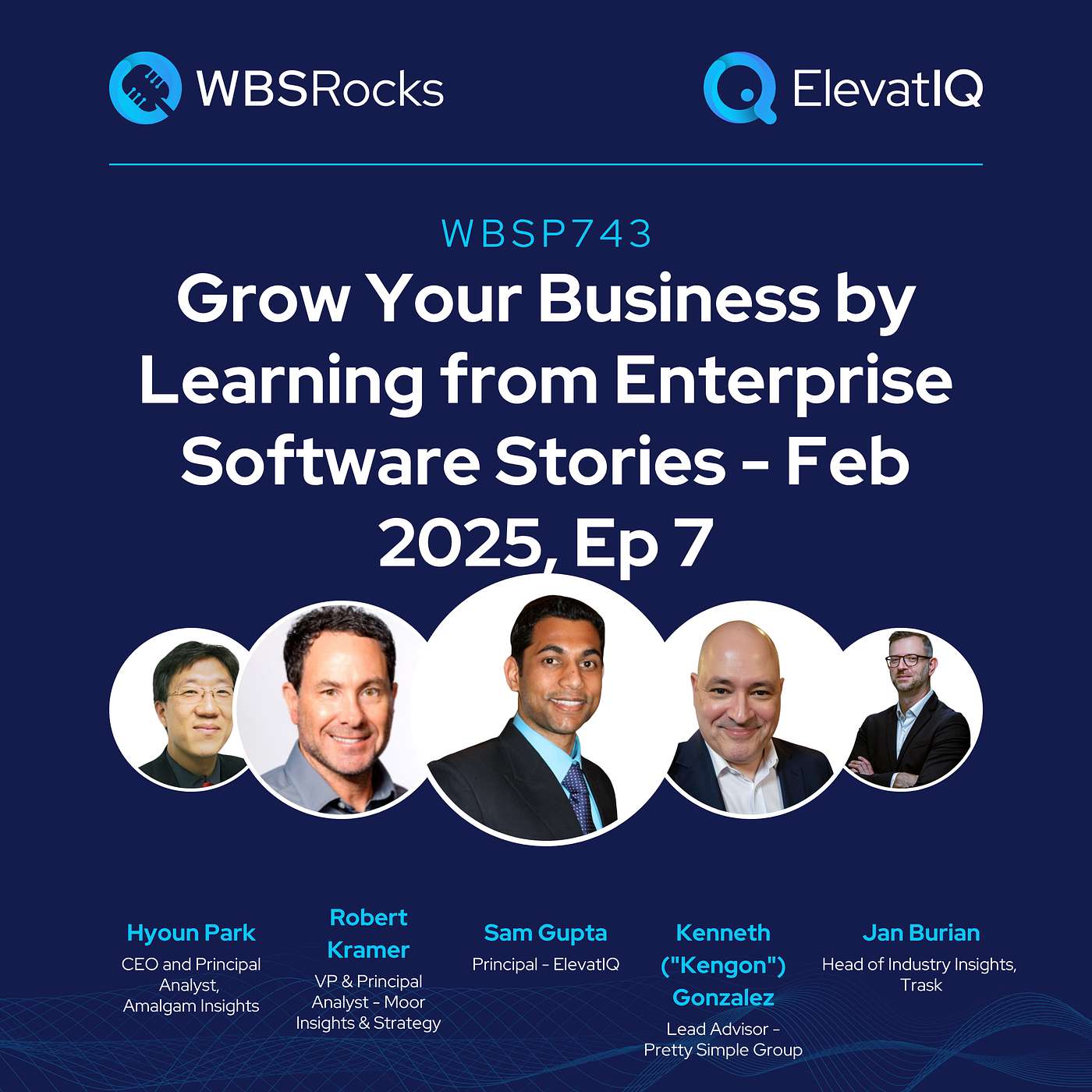 WBSP743: Grow Your Business by Learning from Enterprise Software Stories - Feb 2025, Ep 7, an Objective Panel Discussion