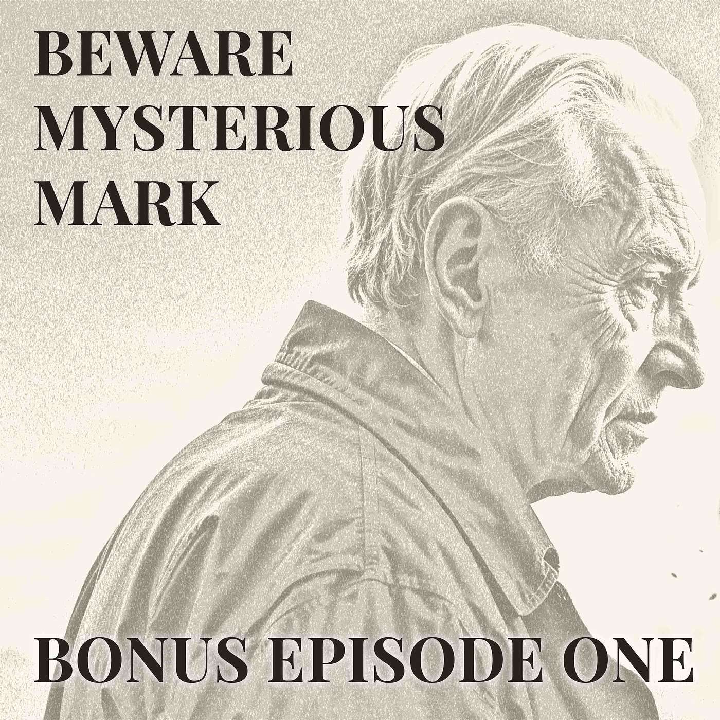 Expert Charlotte Salomon episode artwork