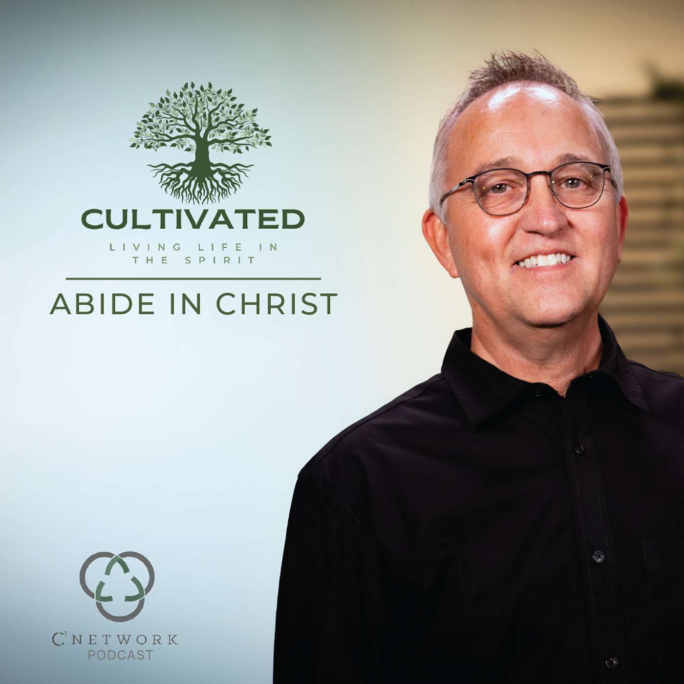 Episode 133 | Cultivated: Living Life In The Spirit | Abide In Christ episode artwork