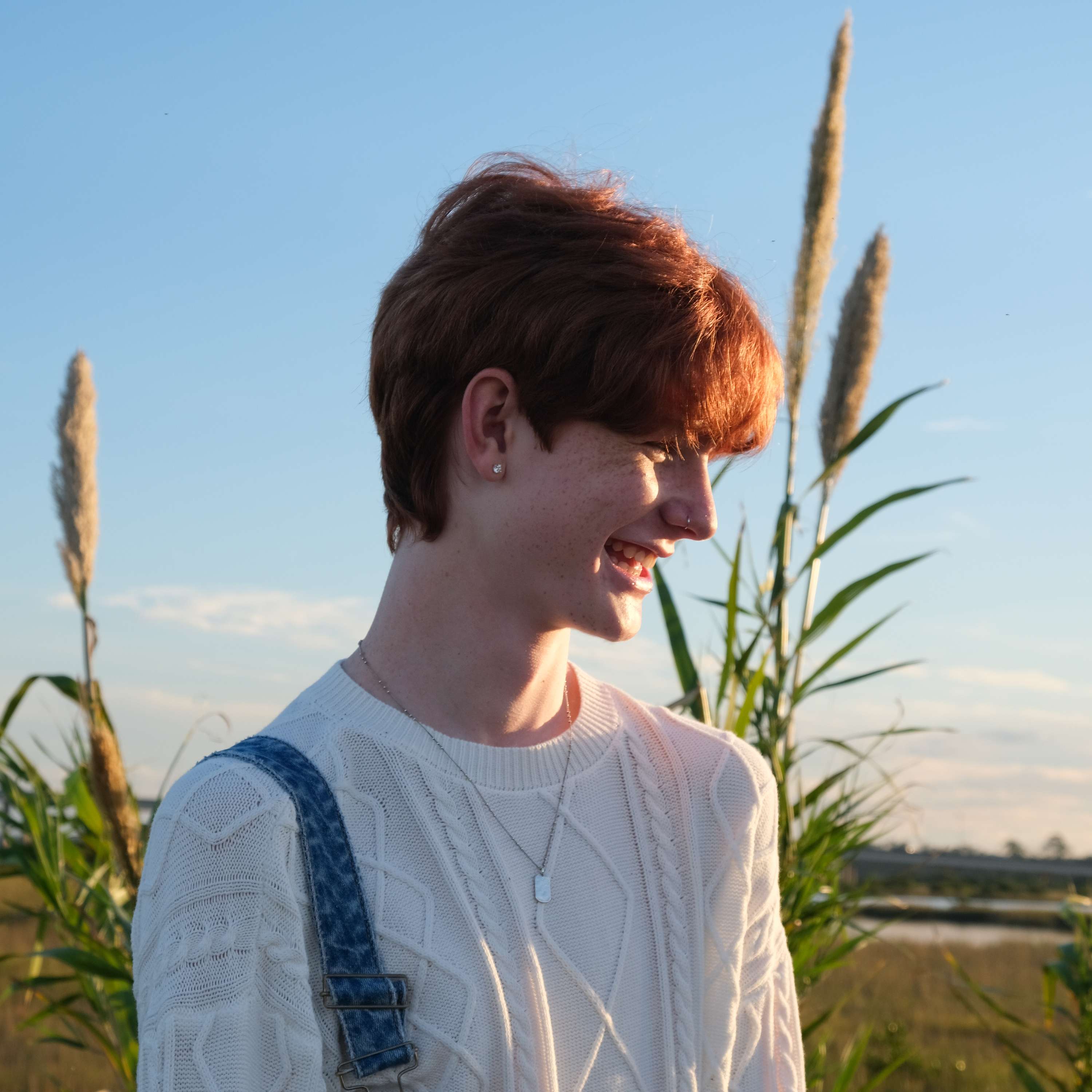 Luke Richardsons AICE media studies reflections