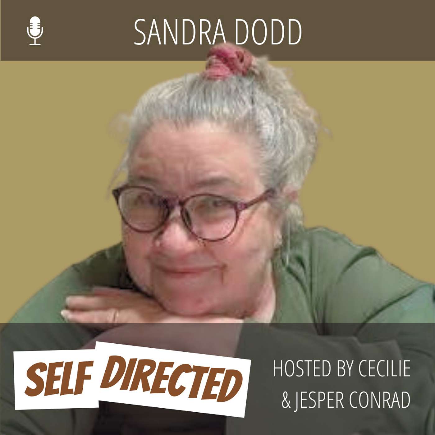 #54 - Sandra Dodd | Unschooling thoughts on gaming, YouTube and the internet