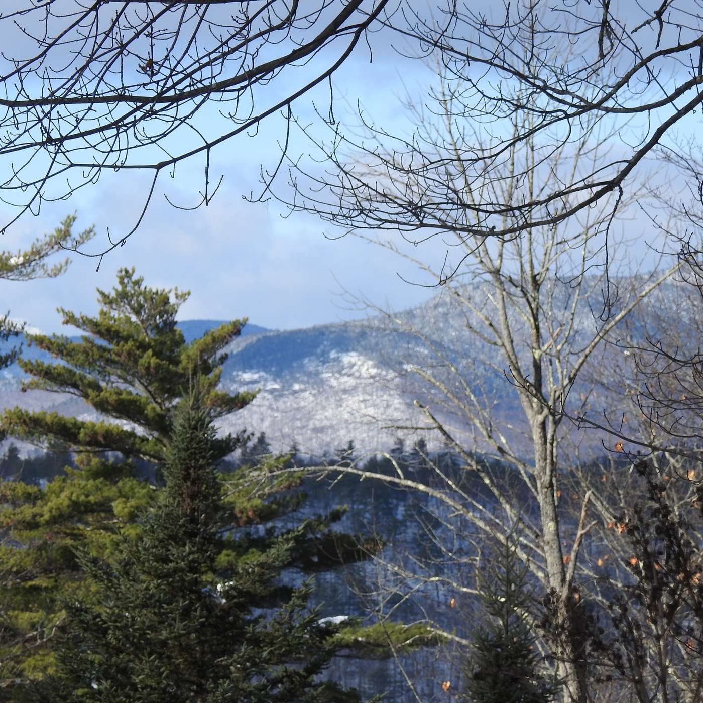 WINTER