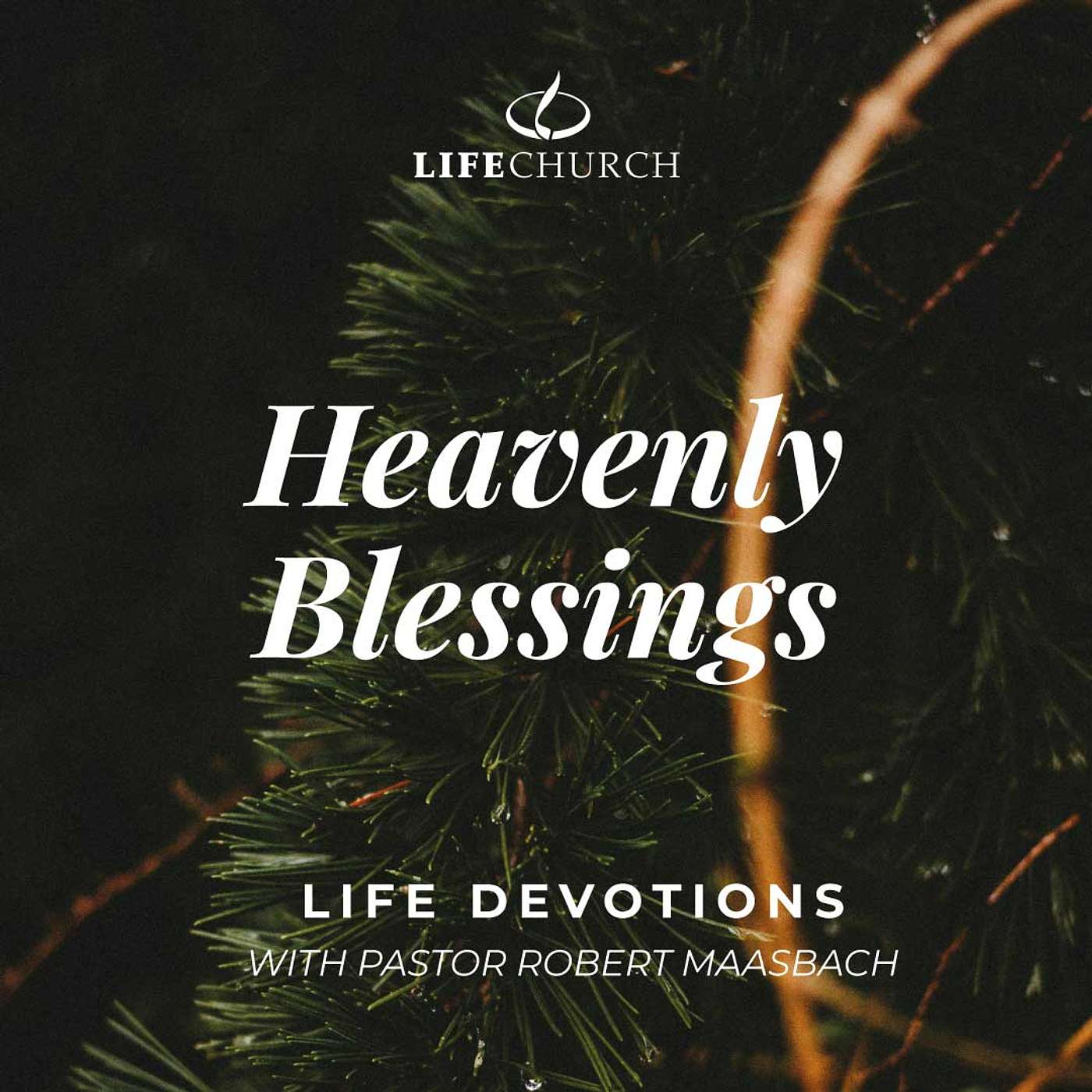 Heavenly Blessings - 25.12.24