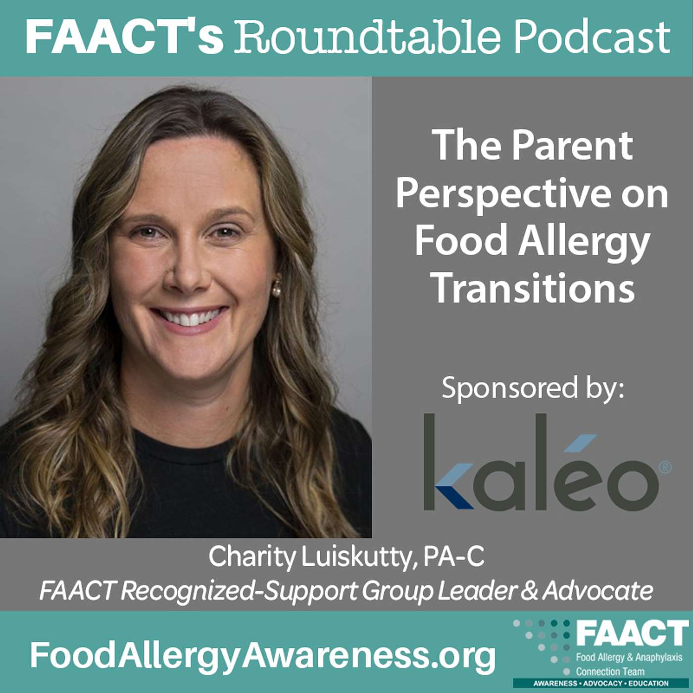 FAACT\'s Roundtable