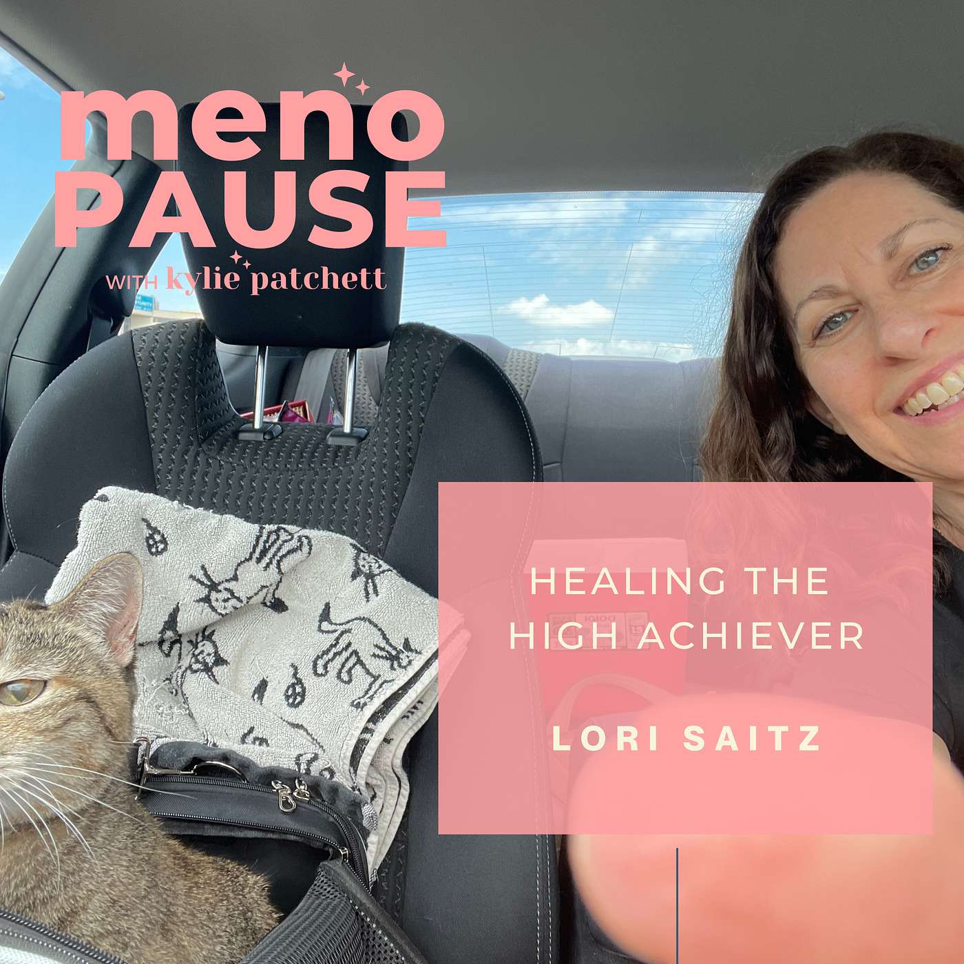 Healing the High Achievers with Lori Saitz