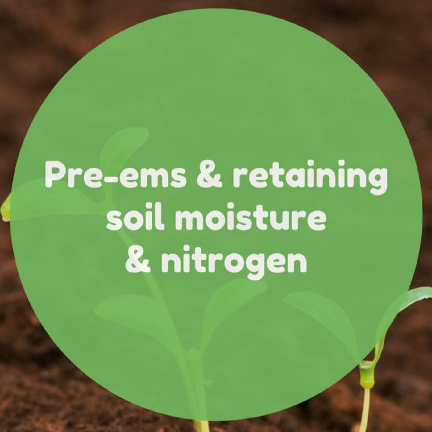 Pre-emergent herbicides and ensuring summer weeds are kept at bay