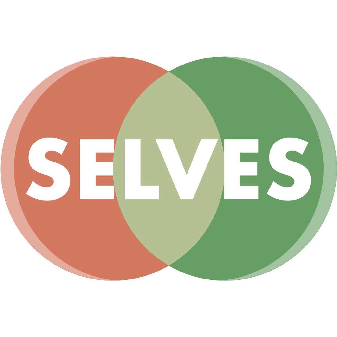 SELVES经验有限 podcast artwork