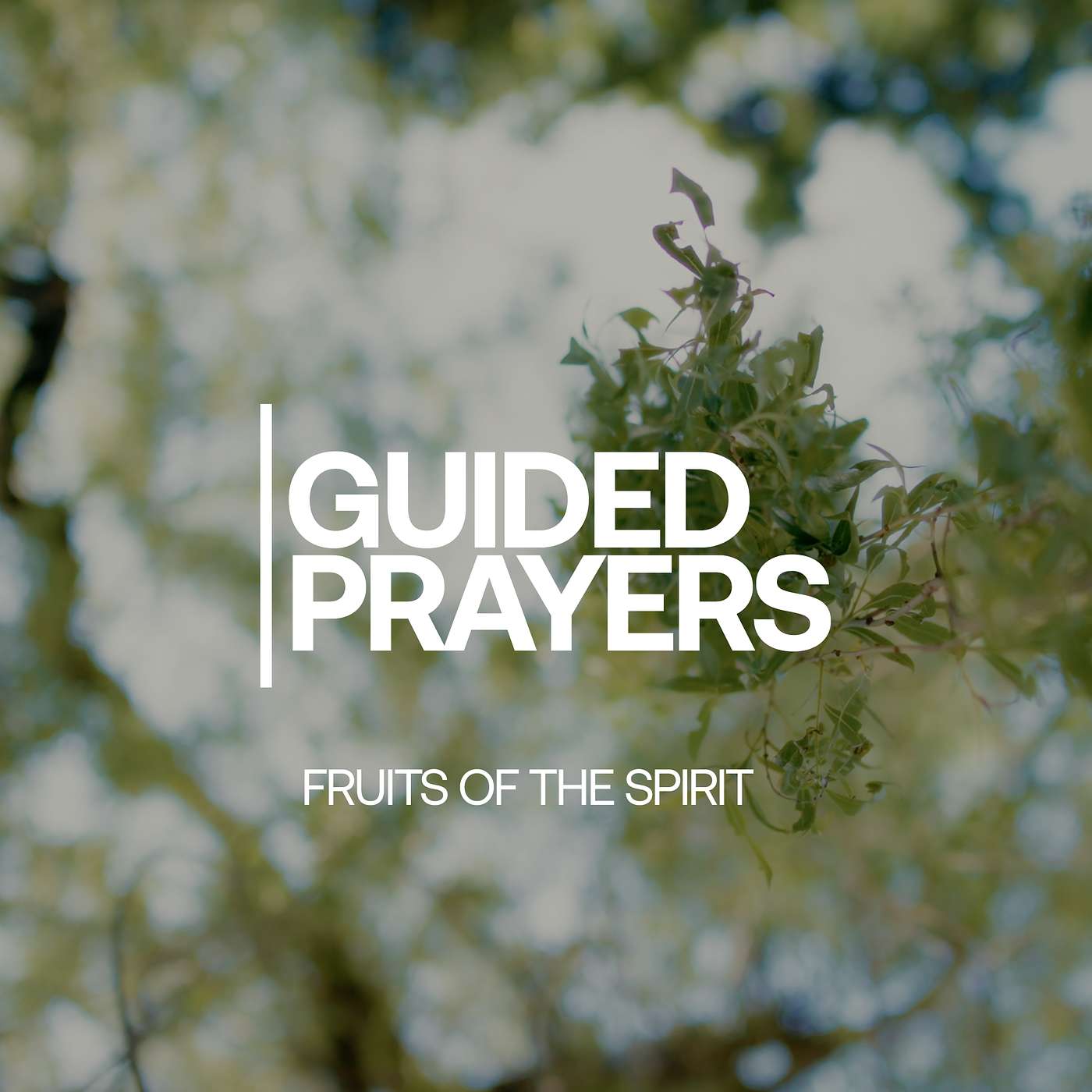 The Fruits Of God's Spirit | Guided Prayers episode artwork