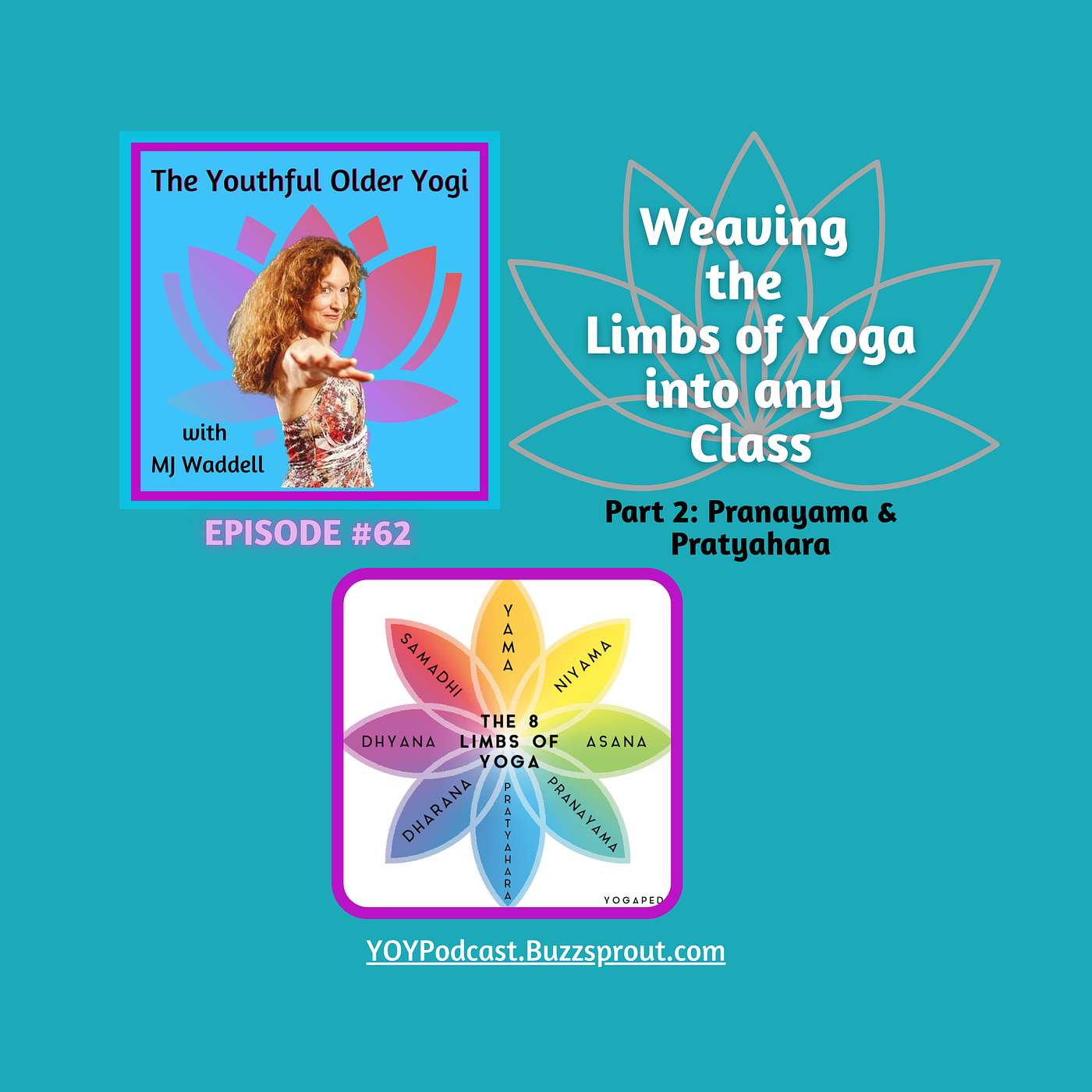 Weaving the Limbs of Yoga into any Class (Part 2)  Pranayama & Pratyahara