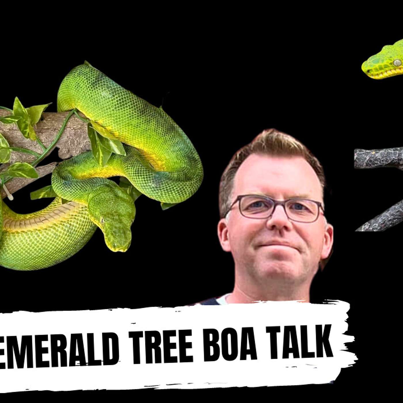 Breeding Northern Emerald Tree Boa's Successfully
