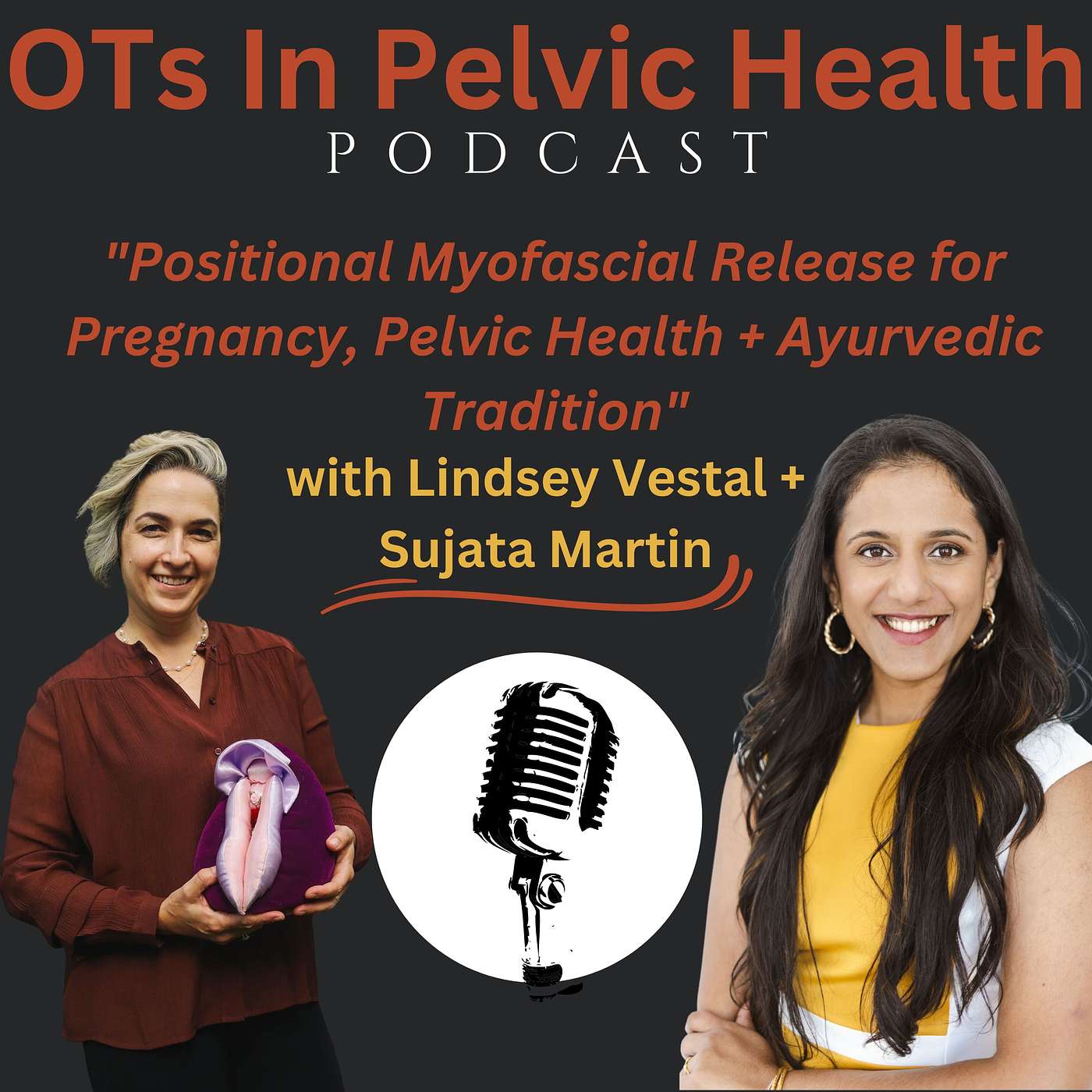 Positional Myofascial Release for Pregnancy, Pelvic Health + Ayurvedic Tradition with Sujata Martin episode artwork