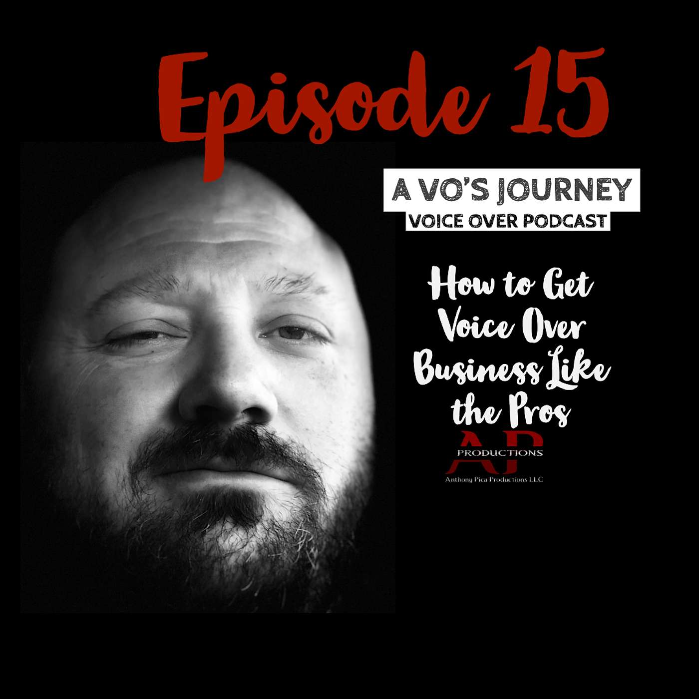 Ep. 15: How to Get Voice Over Business Like the Pros