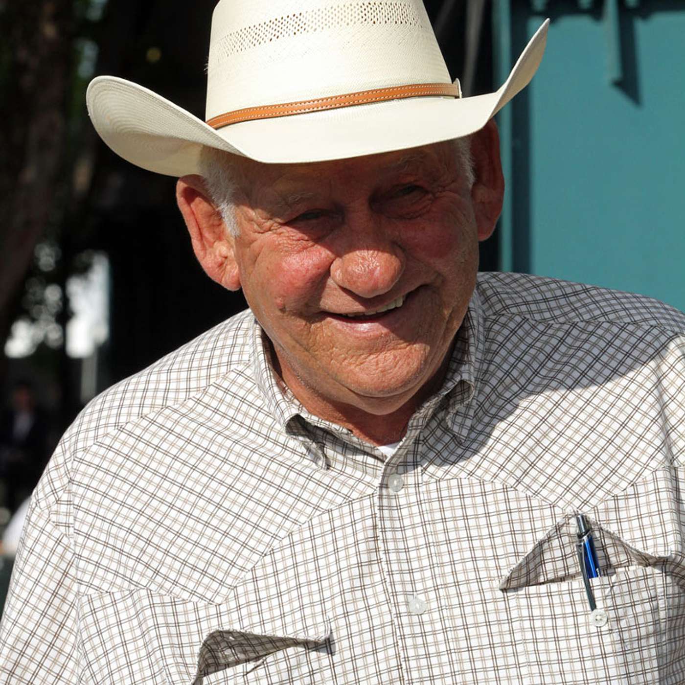 StallioneSearch Podcasts